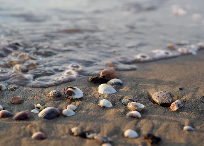 Cozy Flat 80mt From The Apartment Bibione